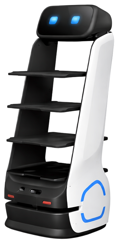 PRIZ-DINBOT-T9
